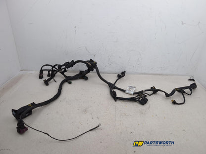 Engine Wiring Harness  1