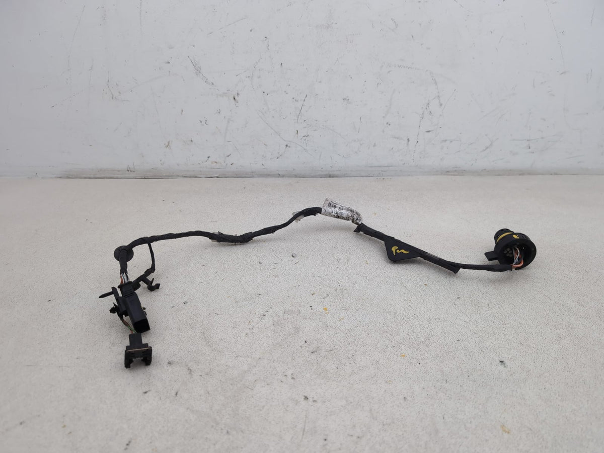 Wiring loom 1