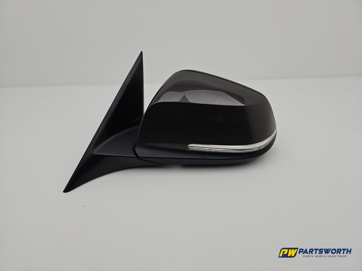 Door Mirror LH 1