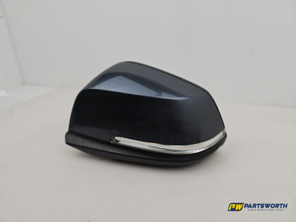 Door Mirror LH 1
