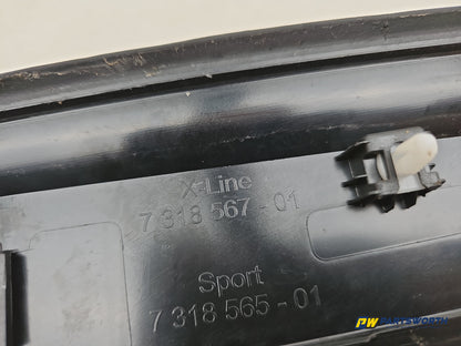 Door Step Insert Cover Trim LH 6