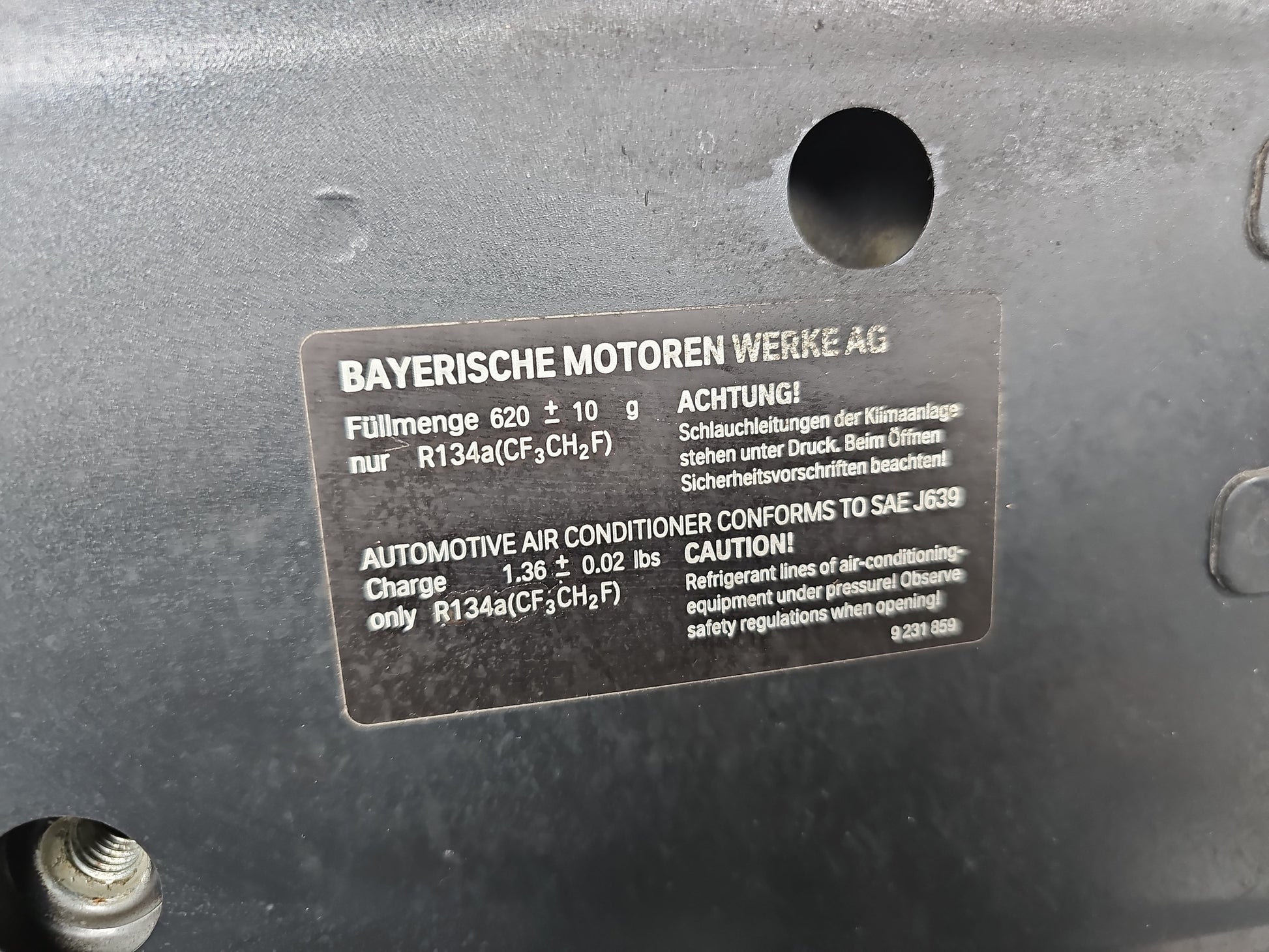 Bonnet 7
