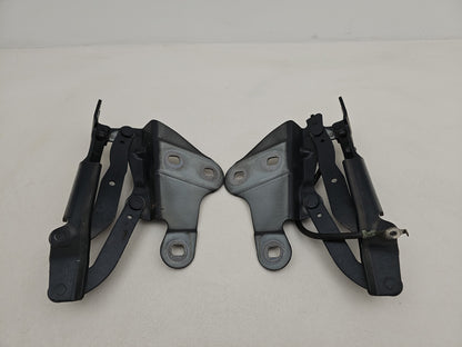 Bonnet Hinges 1