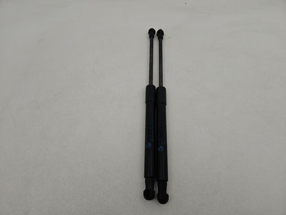 Bonnet Hinges 1