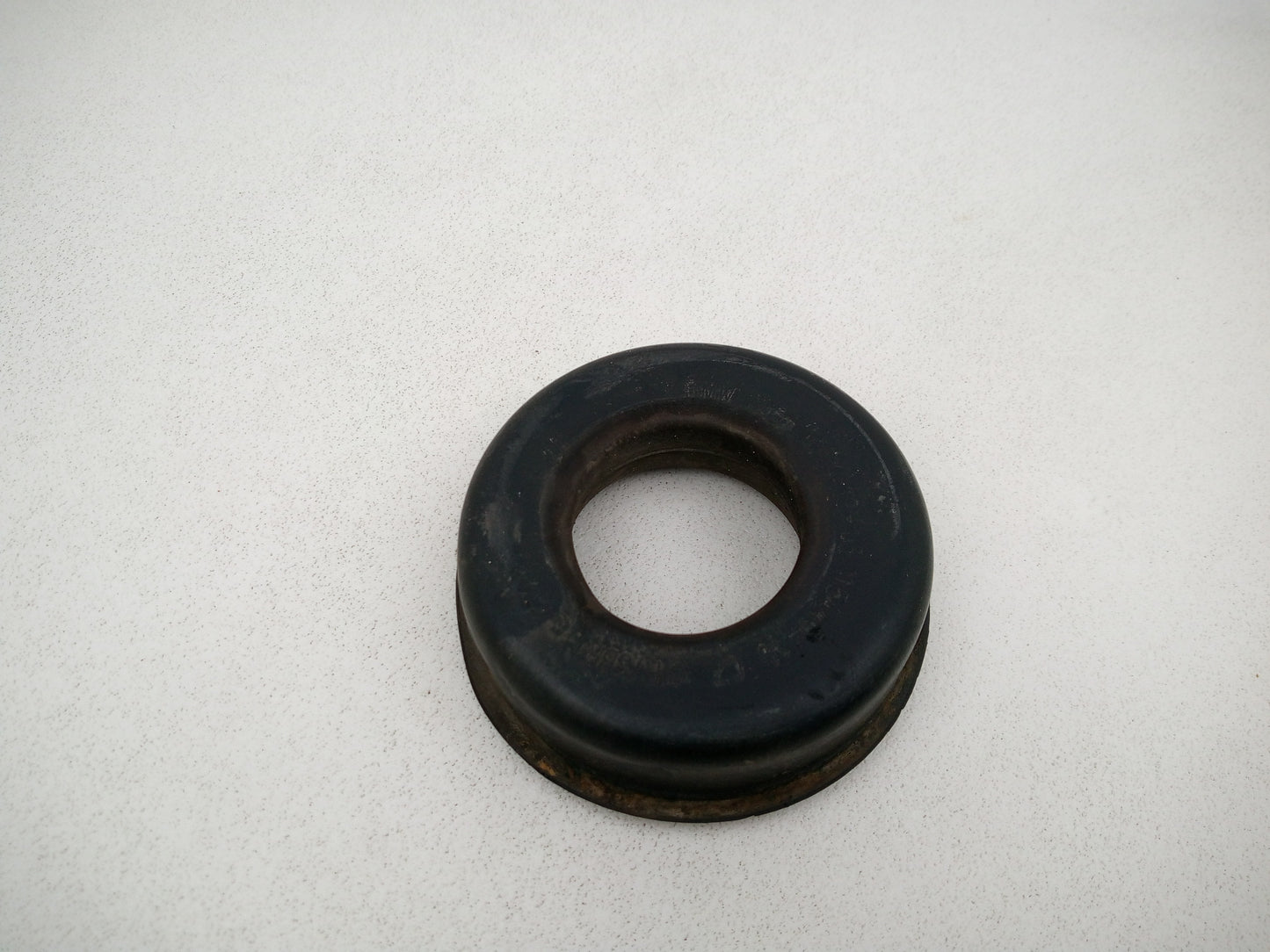 Jason Export Springs 1