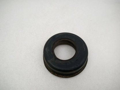 Jason Export Springs 1