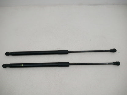 Tailgate Support Strut 1