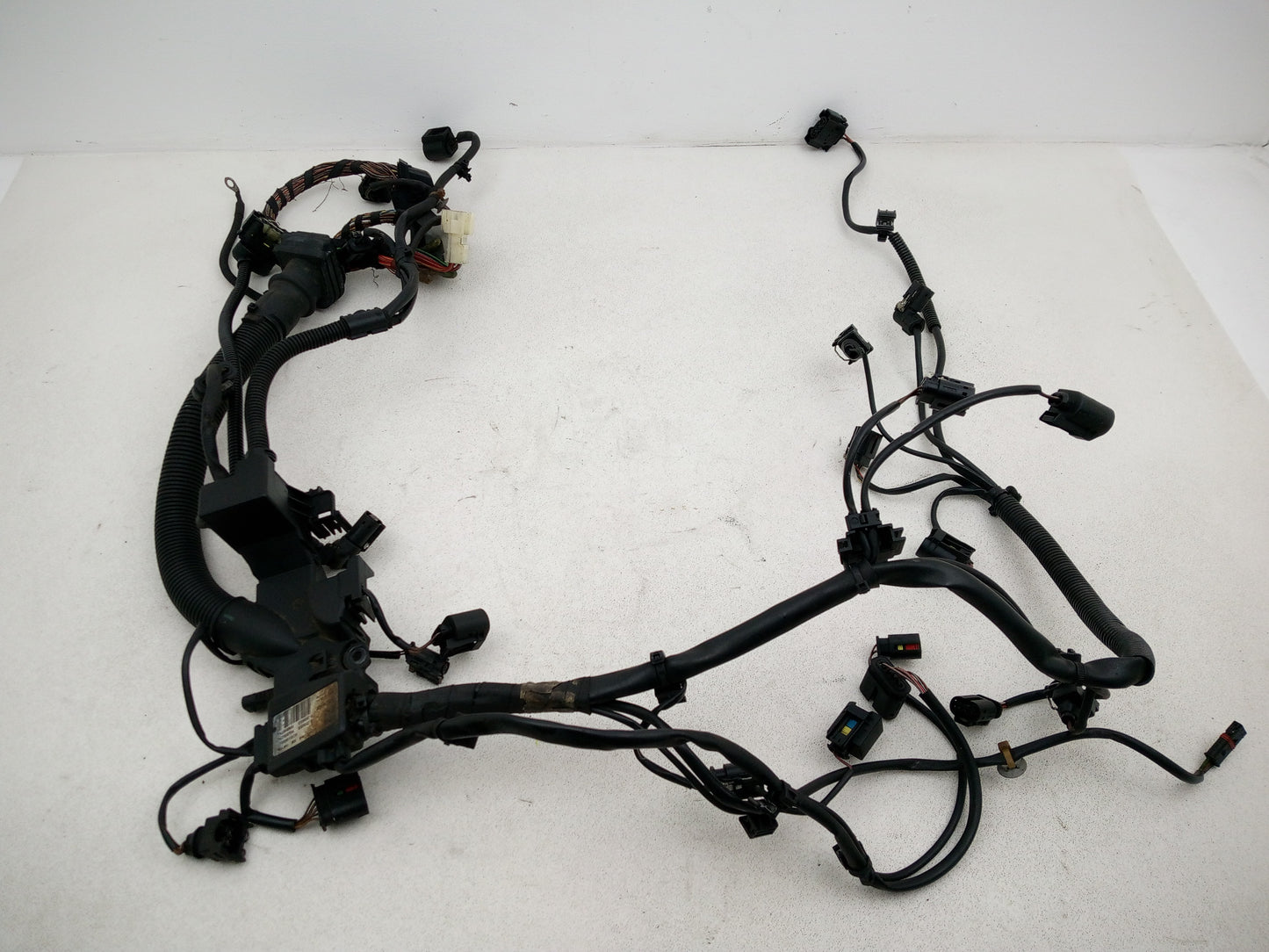 Engine Wiring Harness  1