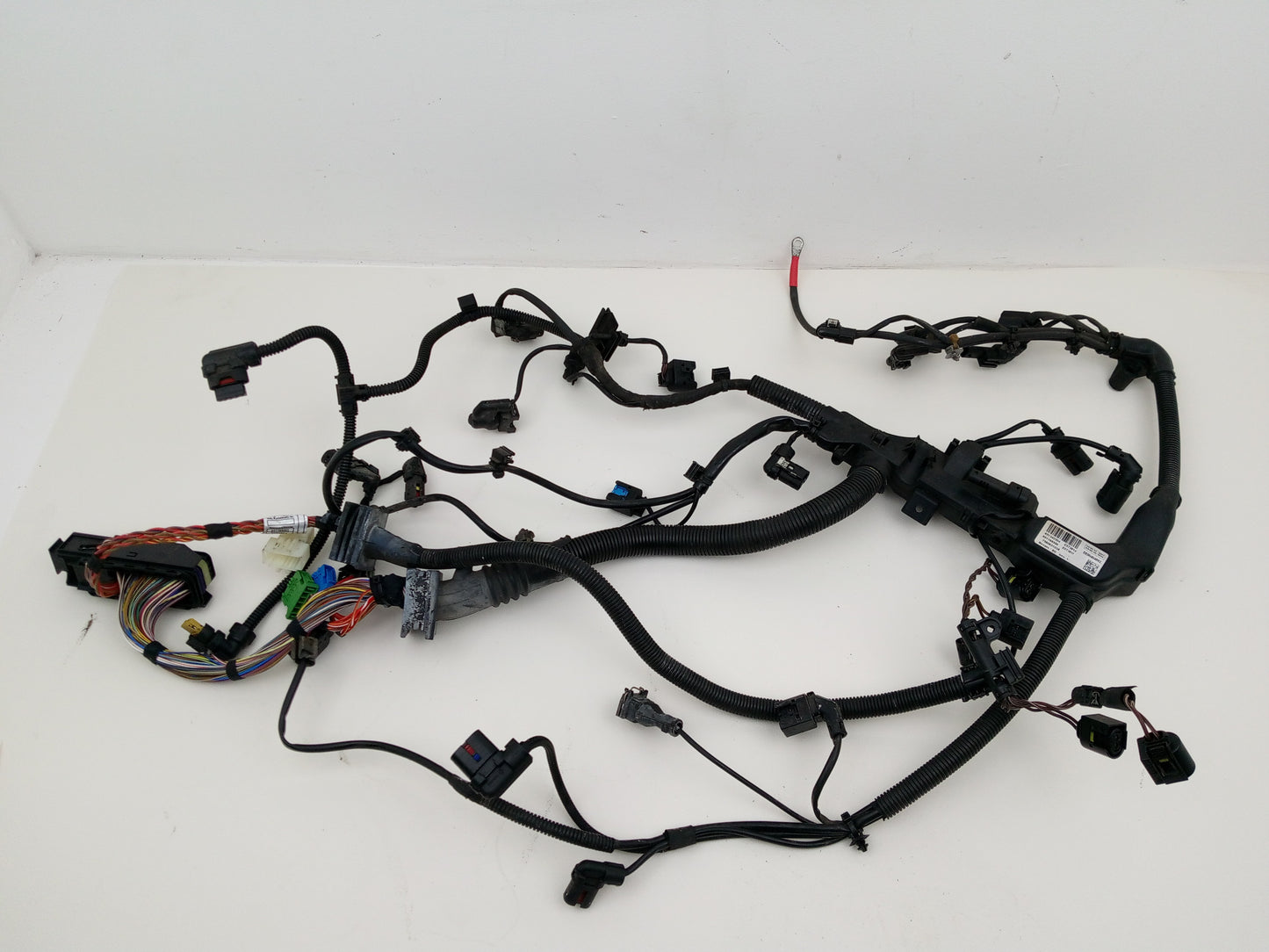 Engine Wiring Harness  1