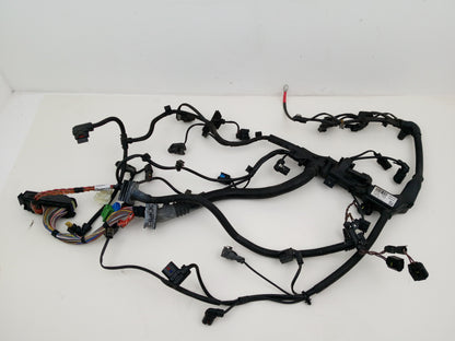 Engine Wiring Harness  1