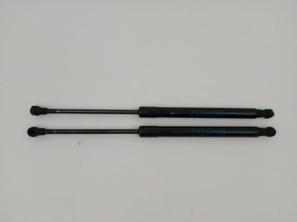Tailgate Support Strut 1