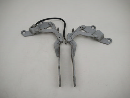 Bonnet Hinges 1