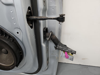Door Front LH 13