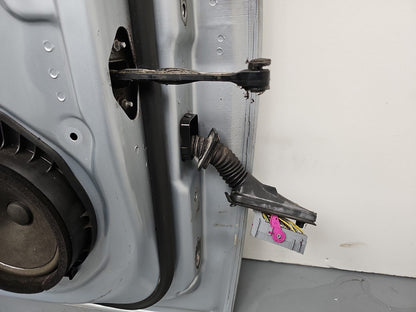 Door Front LH 13