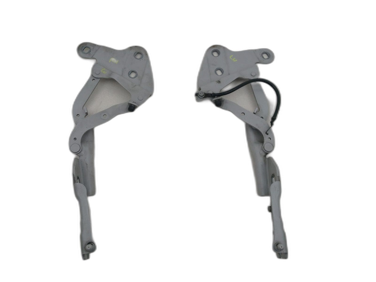 Bonnet Hinges 1