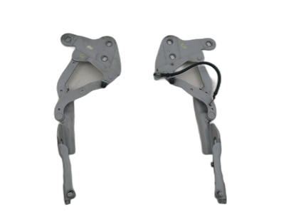 Bonnet Hinges 1