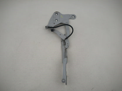 Bonnet Hinges 7