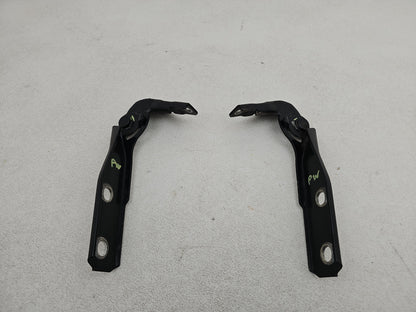 Bonnet Hinges 1