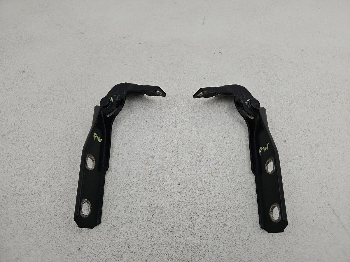 Bonnet Hinges 1
