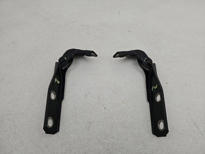 Bonnet Hinges 1