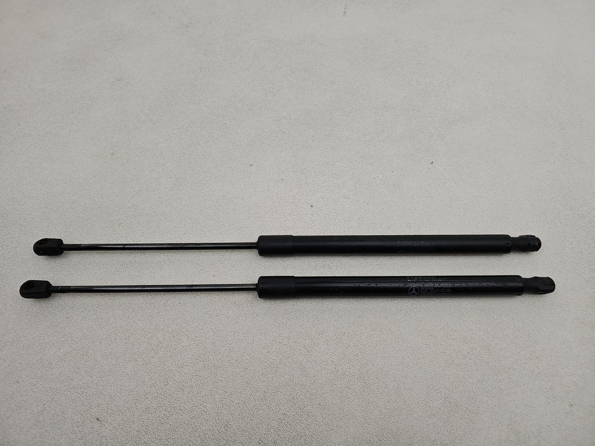 Tailgate Support Strut 1
