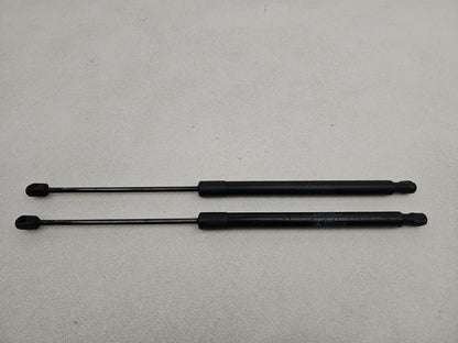Tailgate Support Strut 1