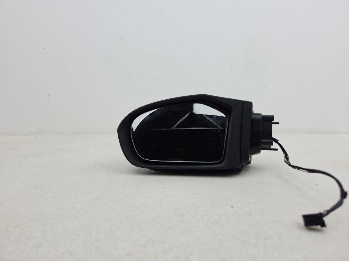 Door Mirror LH 1