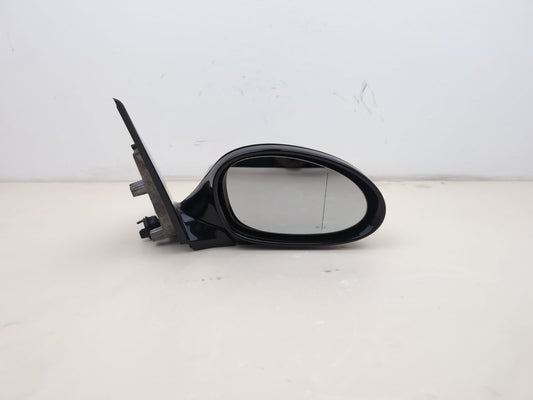 Door Mirror RH 1
