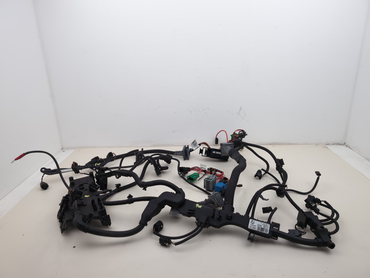 Engine Wiring Harness  1