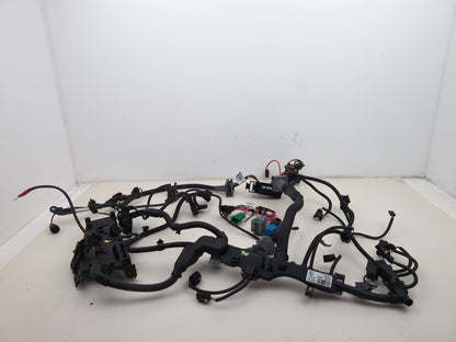 Engine Wiring Harness  1
