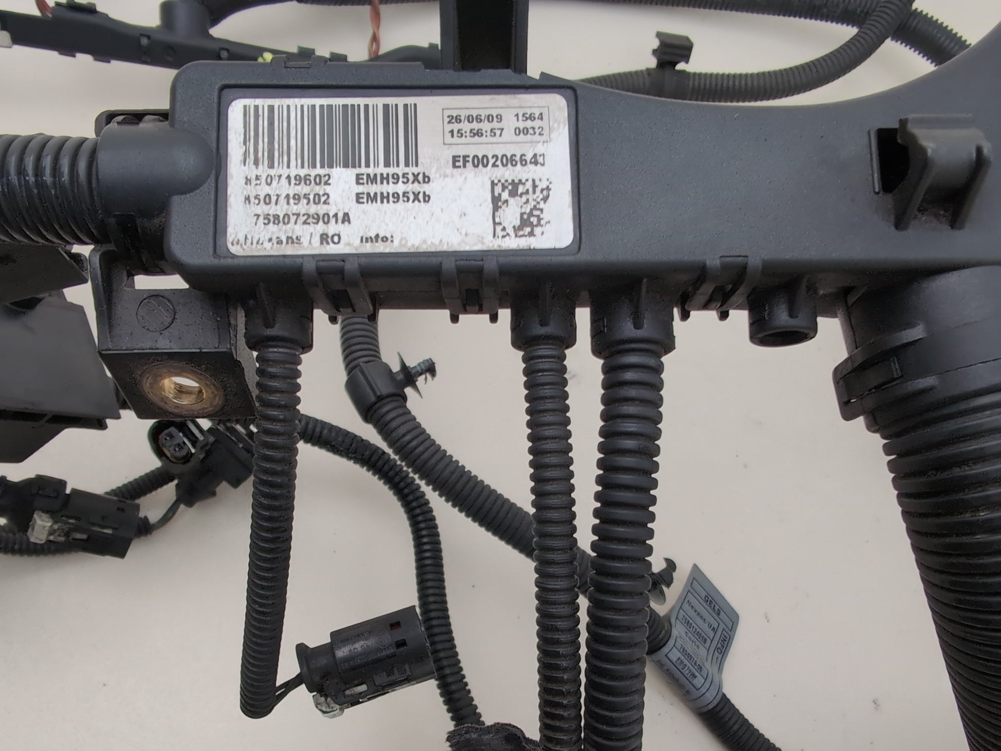 Engine Wiring Harness  6