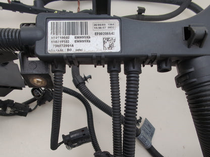 Engine Wiring Harness  6