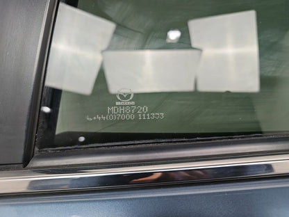 Door Rear LH 7