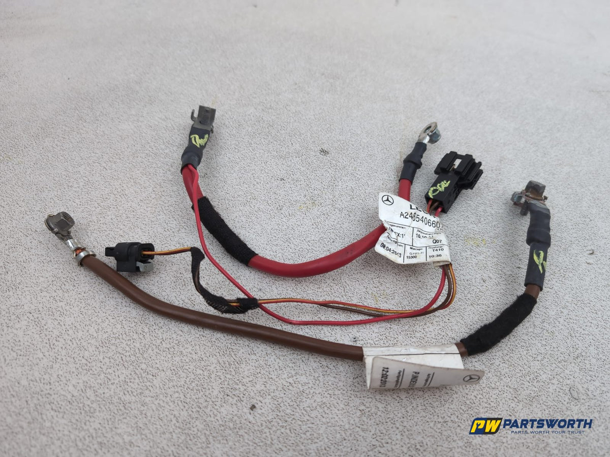 Engine Wiring Harness  1