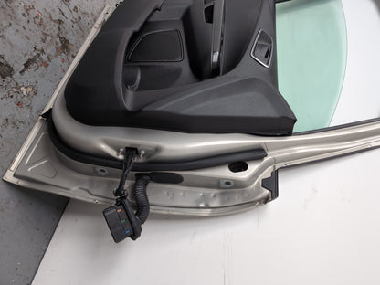 Door Front LH 13