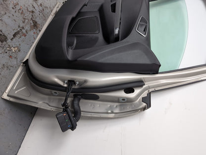Door Front LH 13