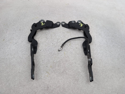 Bonnet Hinges 1