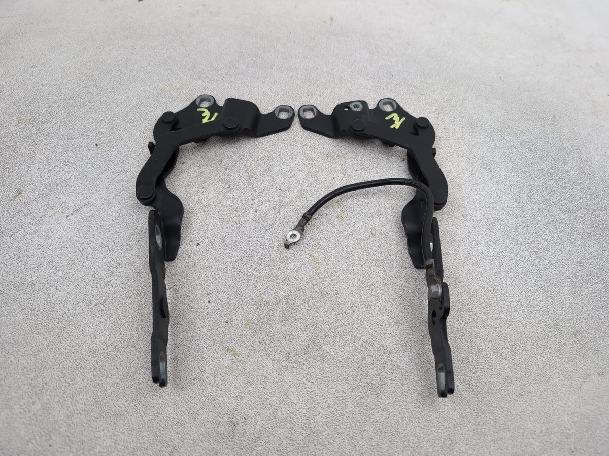 Bonnet Hinges 1
