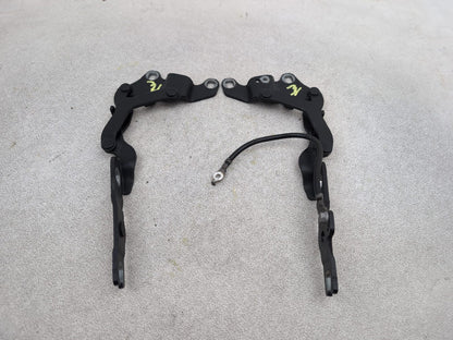 Bonnet Hinges 1