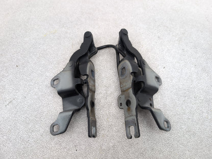 Bonnet Hinges 5