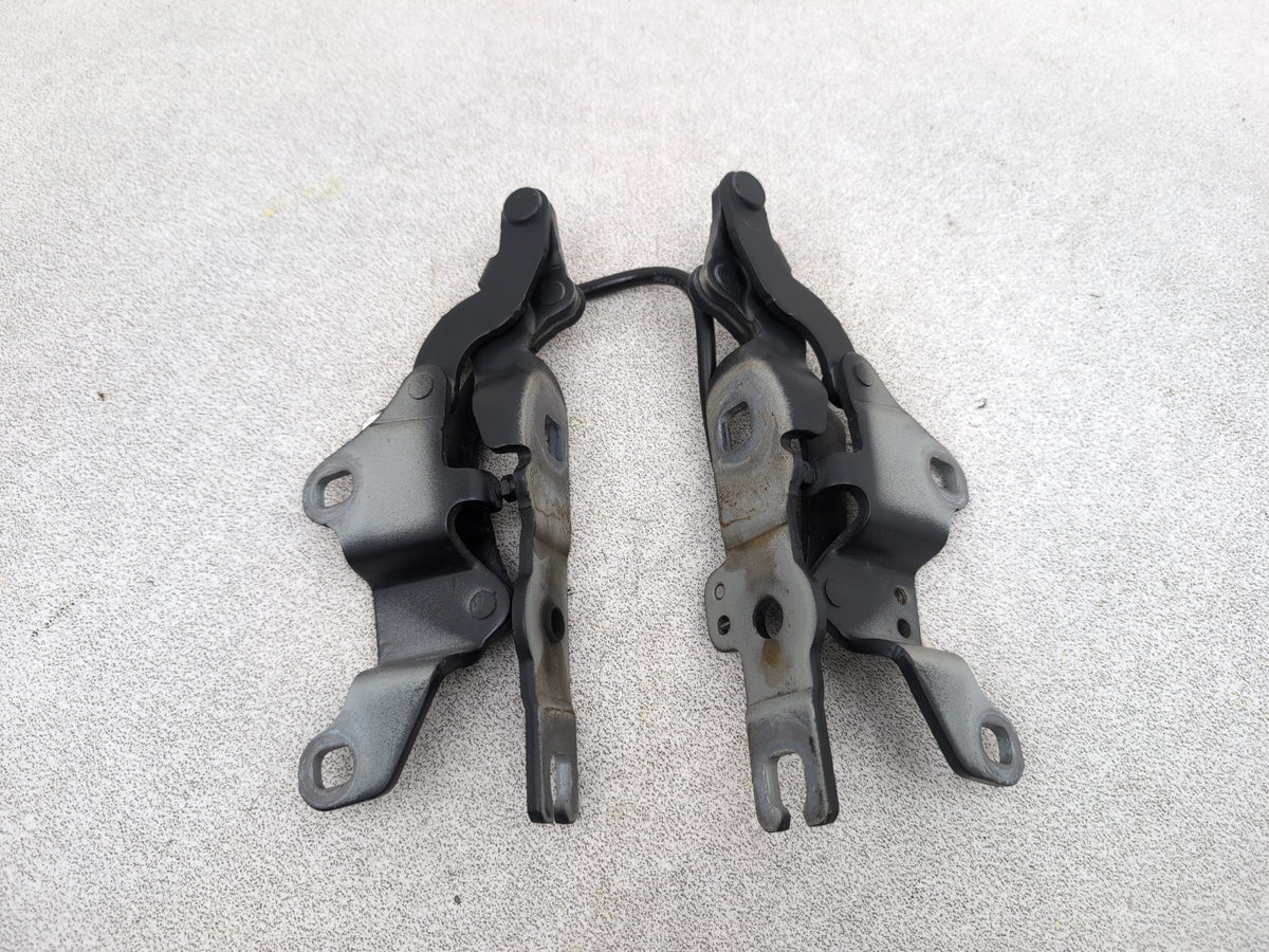 Bonnet Hinges 8