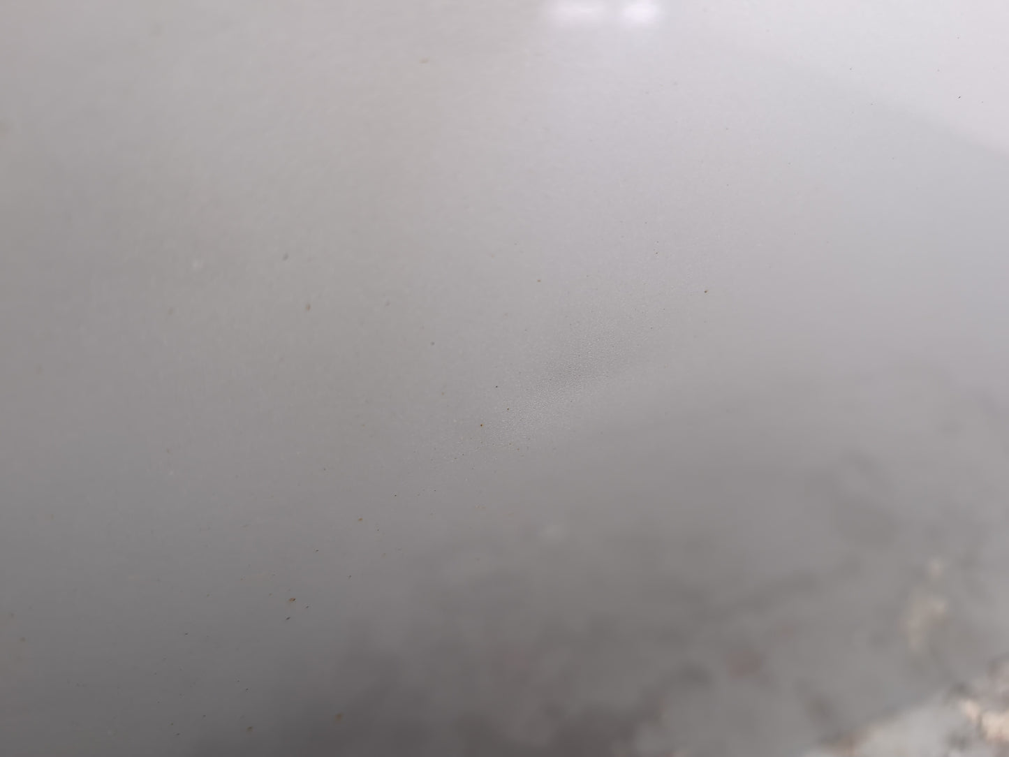 Door Rear RH 7