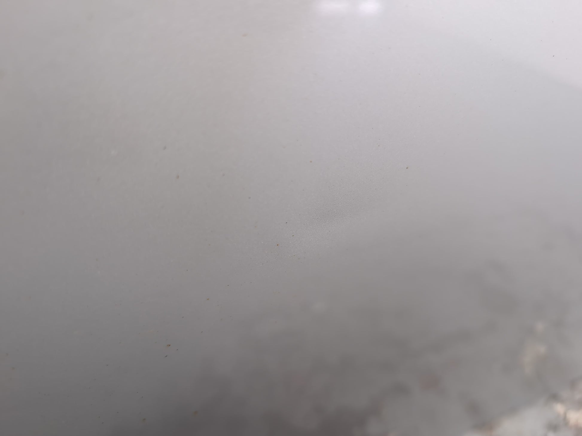 Door Rear RH 7