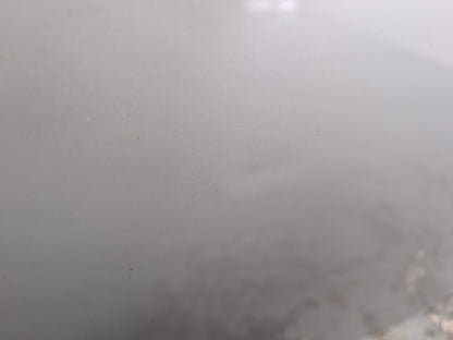 Door Rear RH 7