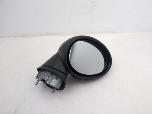 Door Mirror RH 1