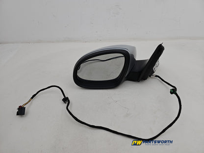 Door Mirror LH 1