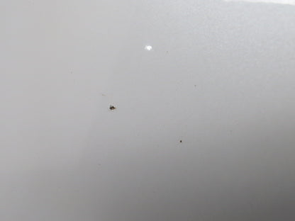 Door Rear RH 7