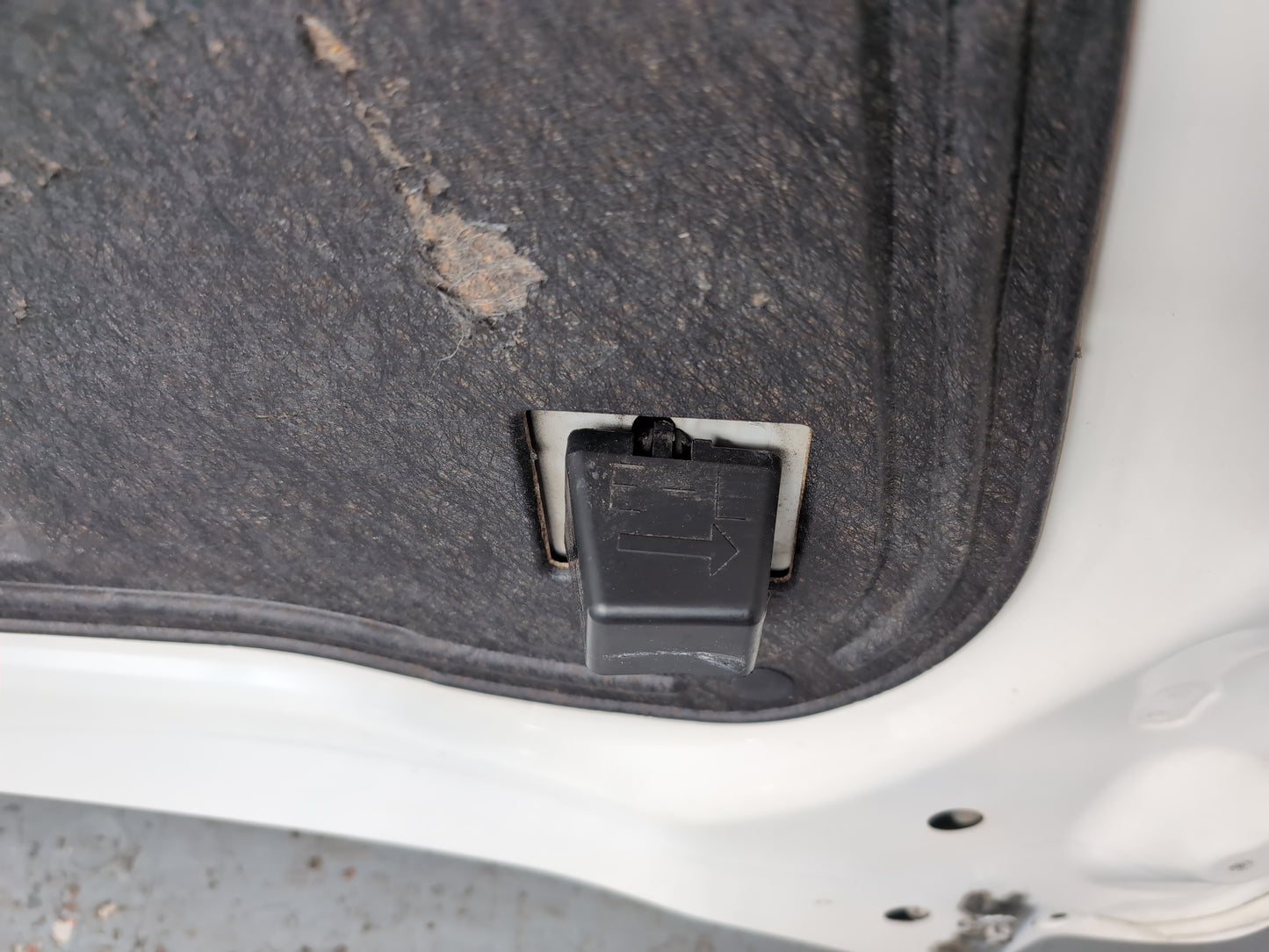 Bonnet 11