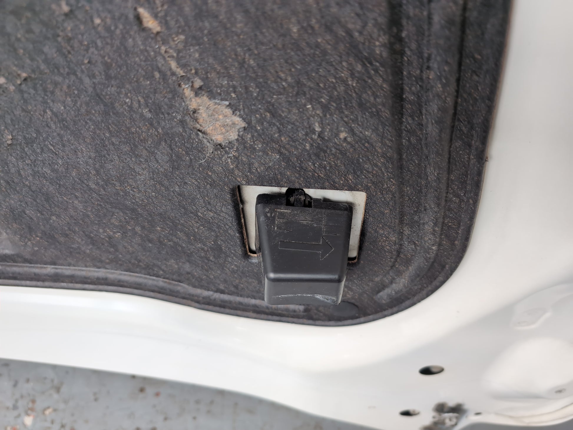 Bonnet 11