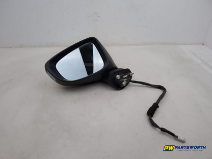 Door Mirror LH 1